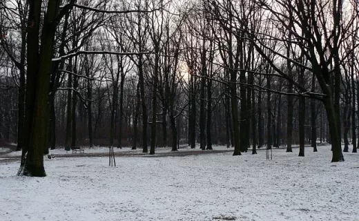 Park Źródliska I i II w Łodzi - 