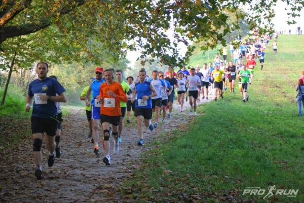 Bieg Trzech Wzgórz we Wrocławiu (11.10.2014)