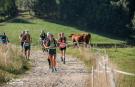 14. Festiwal Biegowy Niedziela 10 września, trasa Bieg Górski 23 km Fot. Dominika Rakszewska (41).jpg